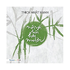 Thích Nhất Hạnh - Nói với tuổi hai mươi
