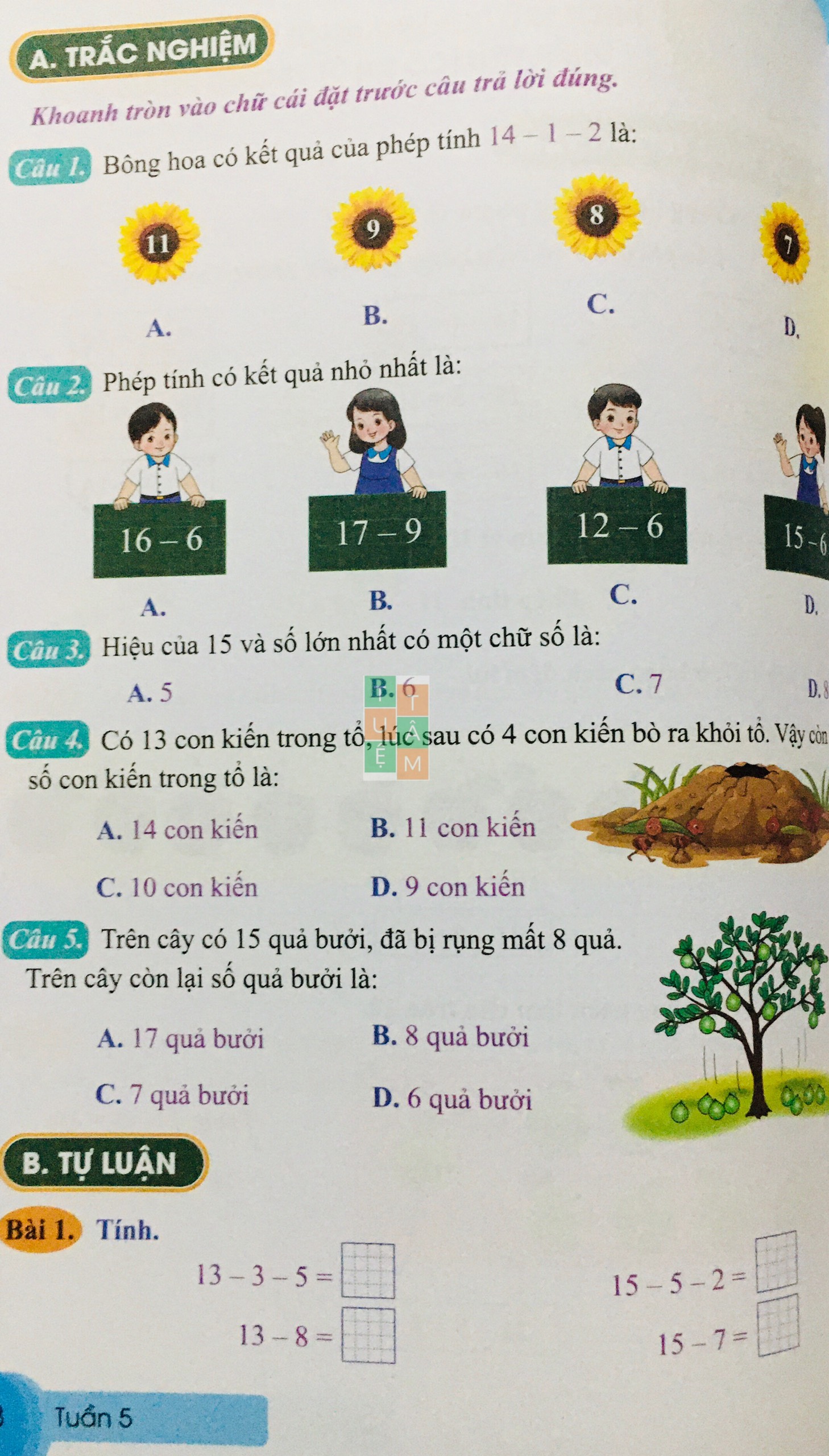 Sách - Bài tập tuần Toán 2 (Cánh diều)