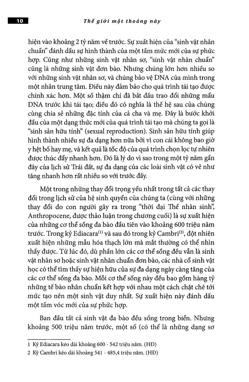 Thế Giới Một Thoáng Này