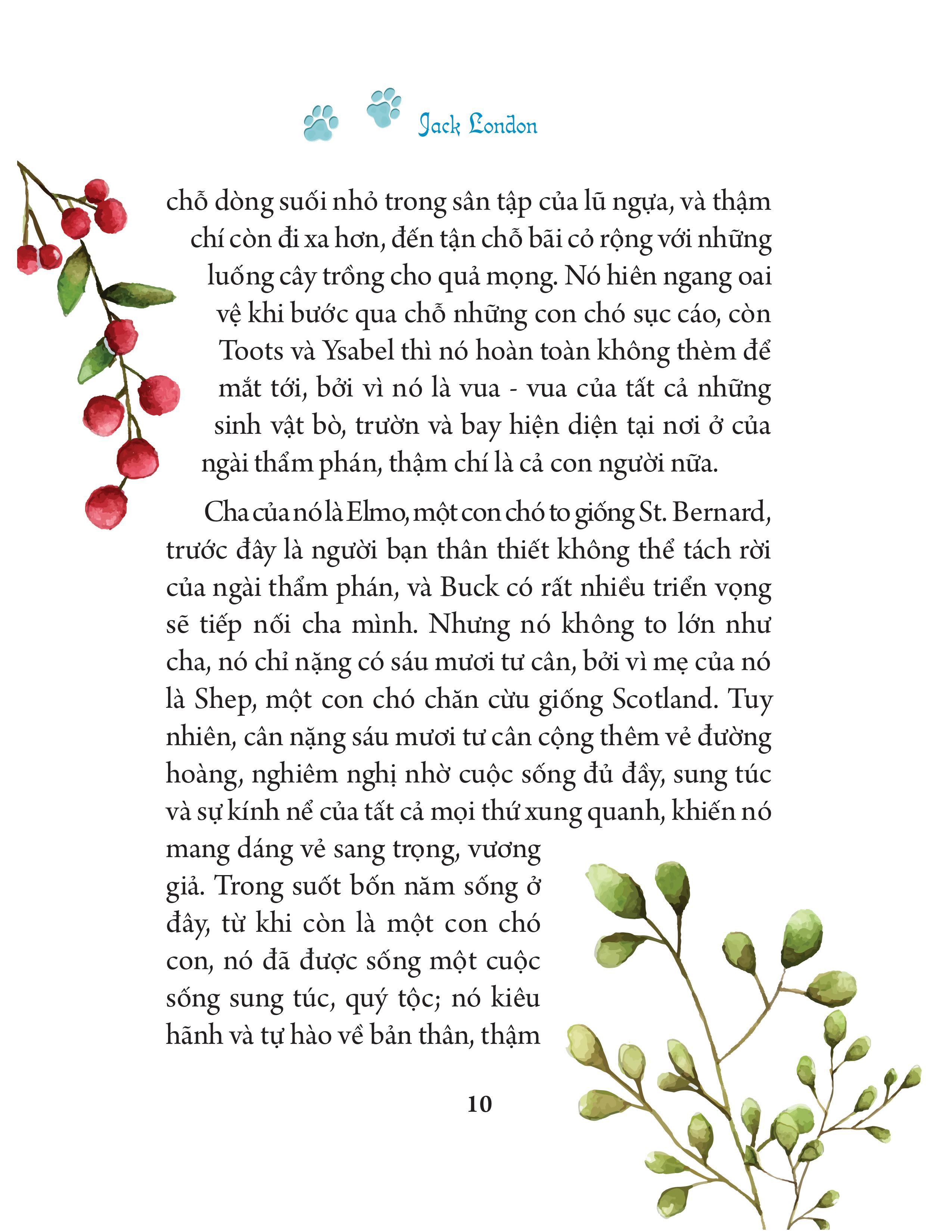 Tác Phẩm Kinh Điển Minh Họa Mới - Tiếng Gọi Của Hoang Dã