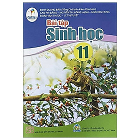 Sách Bài Tập Sinh Học 11- Cánh Diều (Kèm Nilon bọc Sách)