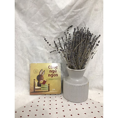 Sách lật tương tác song ngữ 0 - 3 tuổi: Chúc ngủ ngon