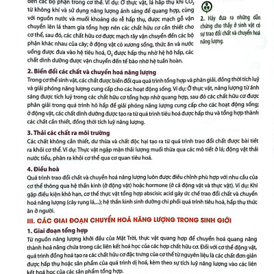 Sinh Học 11 (Chân Trời Sáng Tạo) (2023)