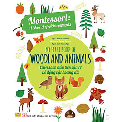 Sách - Montessori A World of Achievements - Cuốn Sách Đầu Tiên Của Tớ (3 - 4 Tuổi) - ndbooks