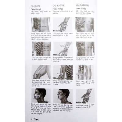 Massage - Kinh Lạc Huyệt Vị Toàn Thư