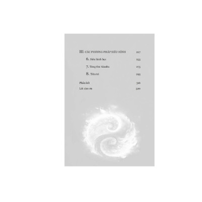 Twin Flame -Giải Mã Bí Ẩn Về Nhân Duyên Tiền Định (1980 Books)