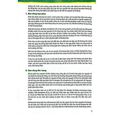 Sách Giáo Khoa Chuyên Đề Học Tập Sinh Học 11 (Kết Nối) (Chuẩn)