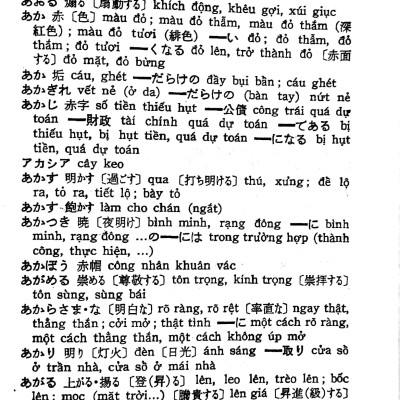 Từ Điển Nhật-Việt (Tái Bản 2024)