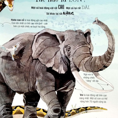 Sách Tương Tác - Big book - Cuốn sách khổng lồ về các loài động vật khổng lồ