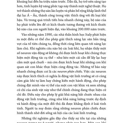 Làm Chủ - Mastery