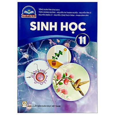 Sinh Học 11 (Chân Trời Sáng Tạo) (2023)