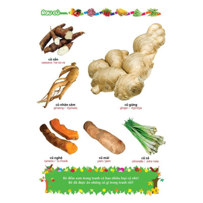 Từ Điển Tranh Về Rau - Củ - Quả - Hoa (Bìa Cứng) - Bản Quyền