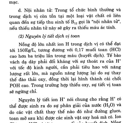 Các Phương Pháp Chữa Trị - Bệnh Dạ Dày