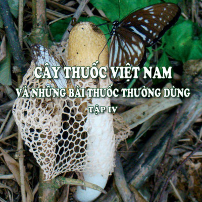 Sách - Combo trọn bộ Cây thuốc Việt Nam và Những bài thuốc thường dùng (Trọn bộ 4 cuốn)