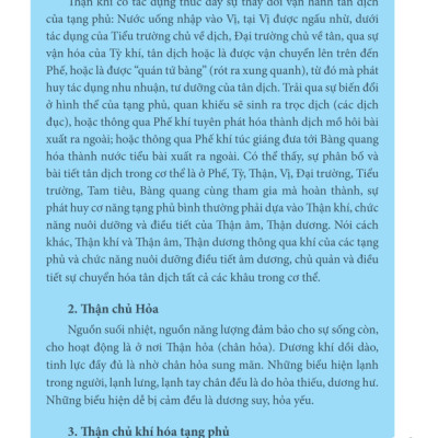 Thận Bàng Quang Trong Đông Y (Bìa mềm)