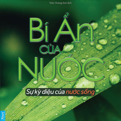Bí Ẩn Của Nước - Sự Kỳ Diệu Của Nước Sống