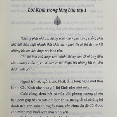 Cuộc sống nhìn từ ô cửa Thiền - Tập 2