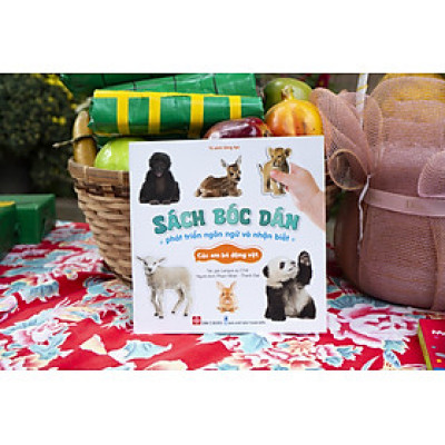 Sách - Sách bóc dán phát triển ngôn ngữ và nhận biết Đinh Tị Books