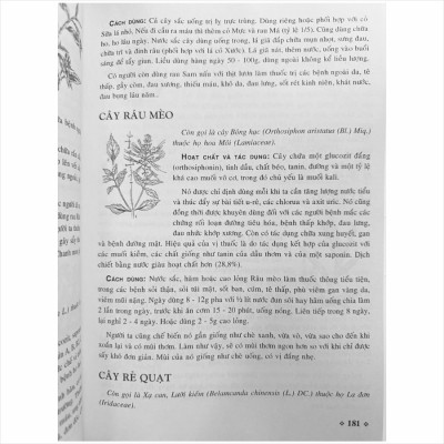 Sách Cây Thuốc Nam - Những Bài Thuốc Quí Từ Dân Gian (V1255P)