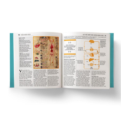 Sách - Y Học - Khái Lược Những Tư Tưởng Lớn - Đông A