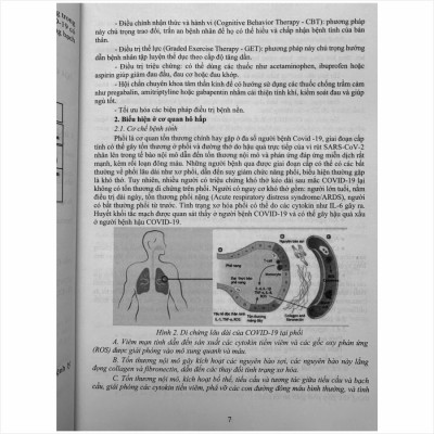 Sách Tuyển Chọn Các Bài thuốc Nam Chữa Triị Bệnh Theo Mùa, Các Bệnh Hậu COVID - V2494D