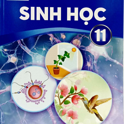 Sinh Học 11 (Chân Trời Sáng Tạo) (2023)