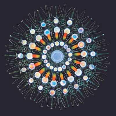 Vũ Trụ - Những Thế Giới Khả Hữu - Cosmos - Possible Worlds - Bìa Cứng
