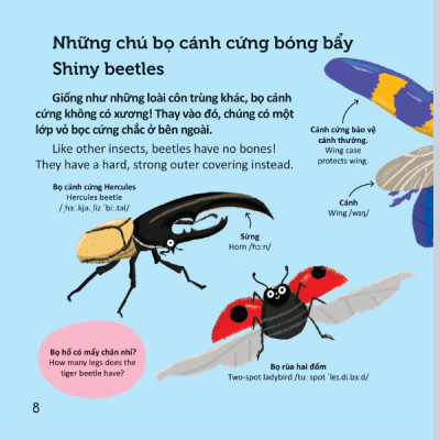 Thư Viện Từ Vựng Đầu Đời Cho Bé - Các Loài Sâu Bọ - Bugs!