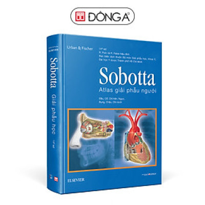 Sobotta 