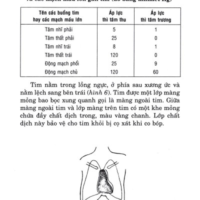 Hiểu Biết Để Phòng Và Trị Bệnh Tim Mạch