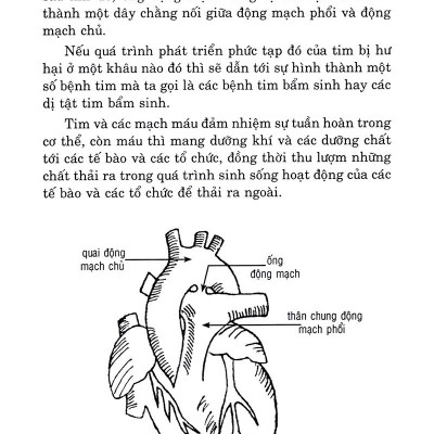 Hiểu Biết Để Phòng Và Trị Bệnh Tim Mạch