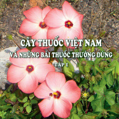 Sách - Combo trọn bộ Cây thuốc Việt Nam và Những bài thuốc thường dùng (Trọn bộ 4 cuốn)