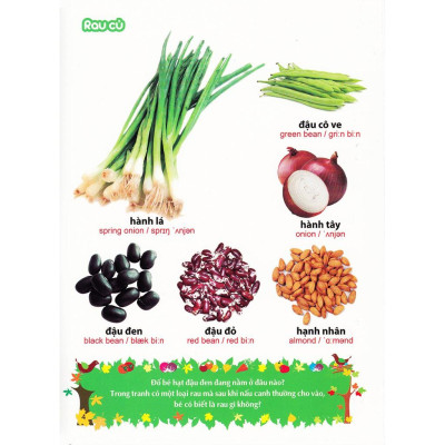 Từ Điển Tranh Về Rau - Củ - Quả - Hoa (Bìa Mềm) - Bản Quyền
