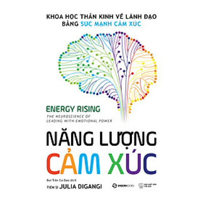 Năng Lượng Cảm Xúc - Khoa học thần kinh về lãnh đạo bằng sức mạnh cảm xúc