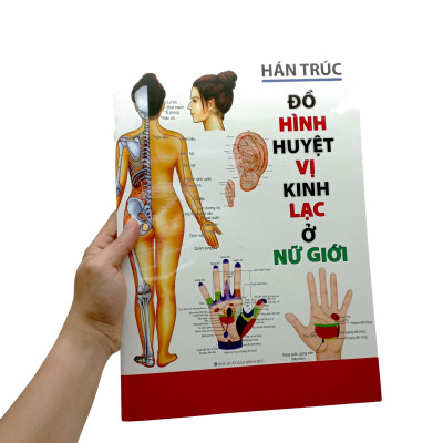 Đồ Hình Huyệt Vị Kinh Lạc Ở Nữ Giới