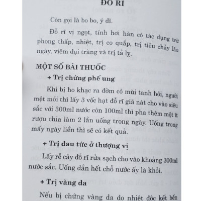 Sách - 500 bài thuốc hay chữa bệnh theo kinh nghiệm dân gian