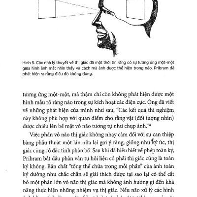 Khoa Học Khám Phá - Vũ Trụ Toàn Ảnh