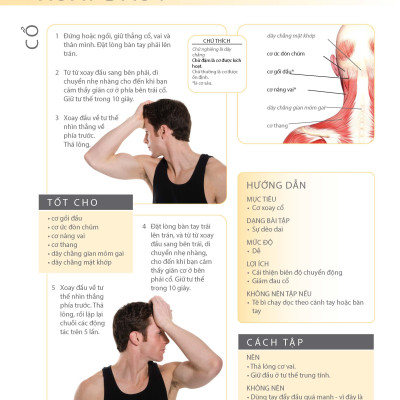 Cổ, Vai, Lưng Khỏe Mạnh Với Bài Tập Cơ Bản (In màu)