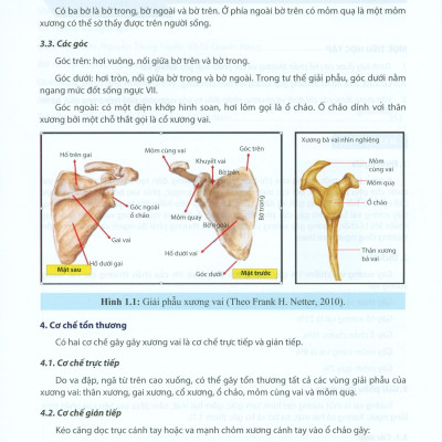 Chẩn Đoán Và Điều Trị Gãy Xương Trật Khớp Chi Trên