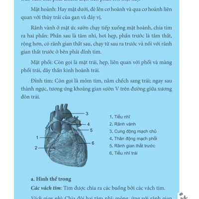 Tâm Và Tiểu Trường Trong Đông Y (Bìa mềm)