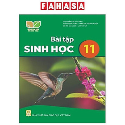Sách Giáo Khoa Bài Tập Sinh Học 11 (Kết Nối Tri Thức) (Chuẩn)