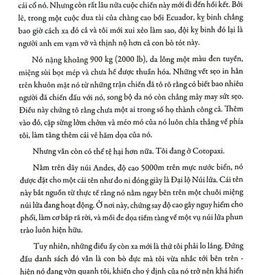 Kinh Thánh Thể Hình - Dành Cho Mọi Đối Tượng, Phục Vụ Mọi Mục Đích, Luyện Tập Ở Bất Cứ Đâu - PD
