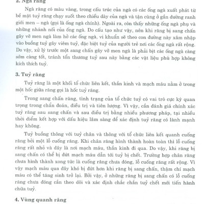 Phẫu Thuật Trong Miệng - Tập 2 (Dùng Cho Sinh Viên Chuyên Khoa Răng Hàm Mặt