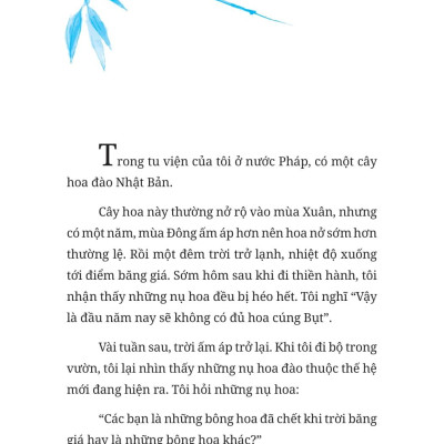 Không Diệt Không Sinh Đừng Sợ Hãi (Tái Bản 2022)