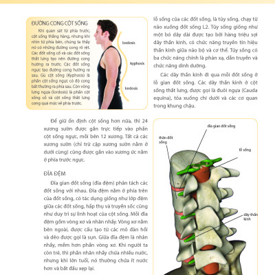Cổ, Vai, Lưng Khỏe Mạnh Với Bài Tập Cơ Bản (In màu)