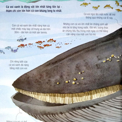 Sách Tương Tác - Big book - Cuốn sách khổng lồ về các loài động vật khổng lồ