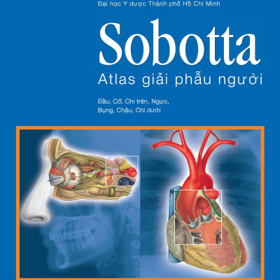 Sobotta 