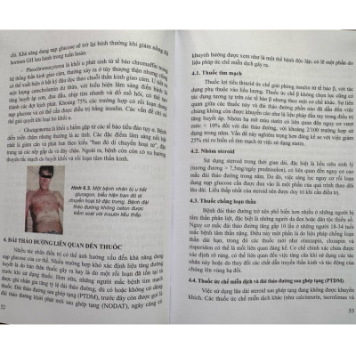 Sách - Đái tháo đường cập nhật những vấn đề căn bản