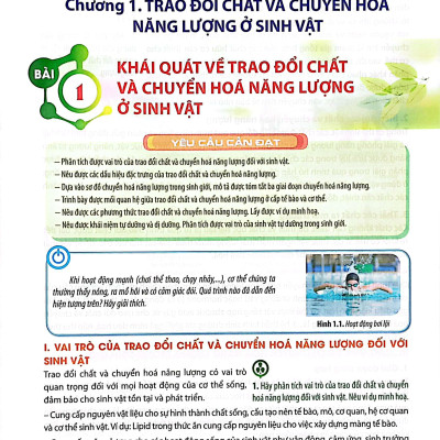 Sinh Học 11 (Chân Trời Sáng Tạo) (2023)