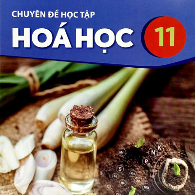Sách Giáo Khoa Chuyên Đề Học Tập Hóa Học 11 (Kết Nối Tri Thức) (Chuẩn)